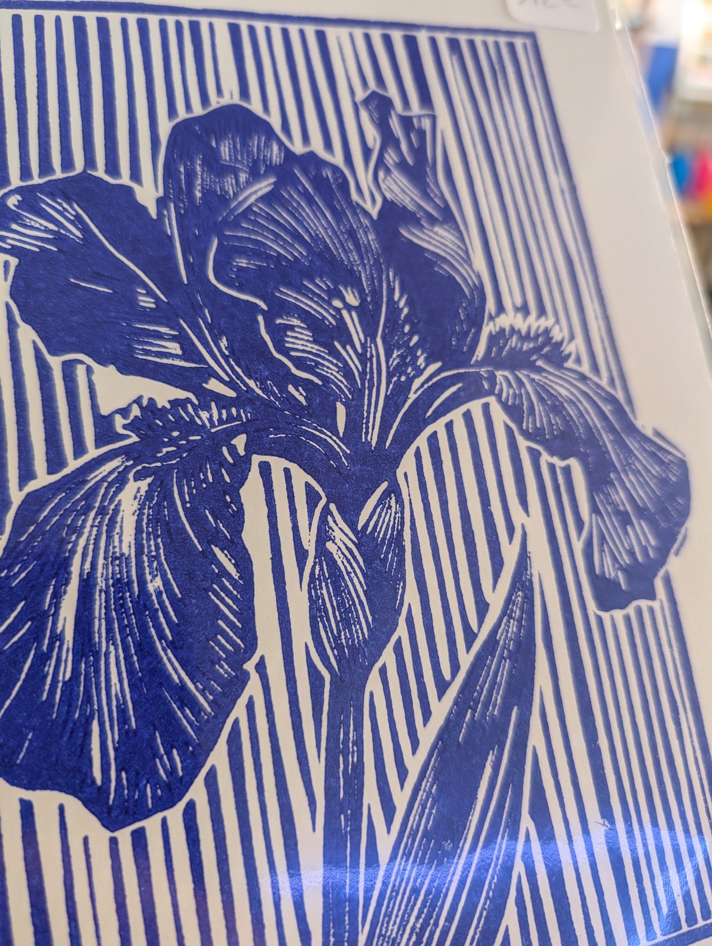 Affiche Iris
