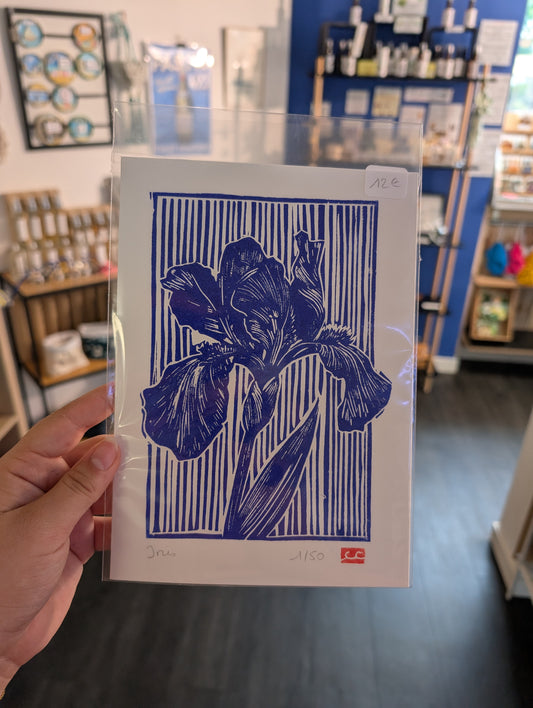 Affiche Iris