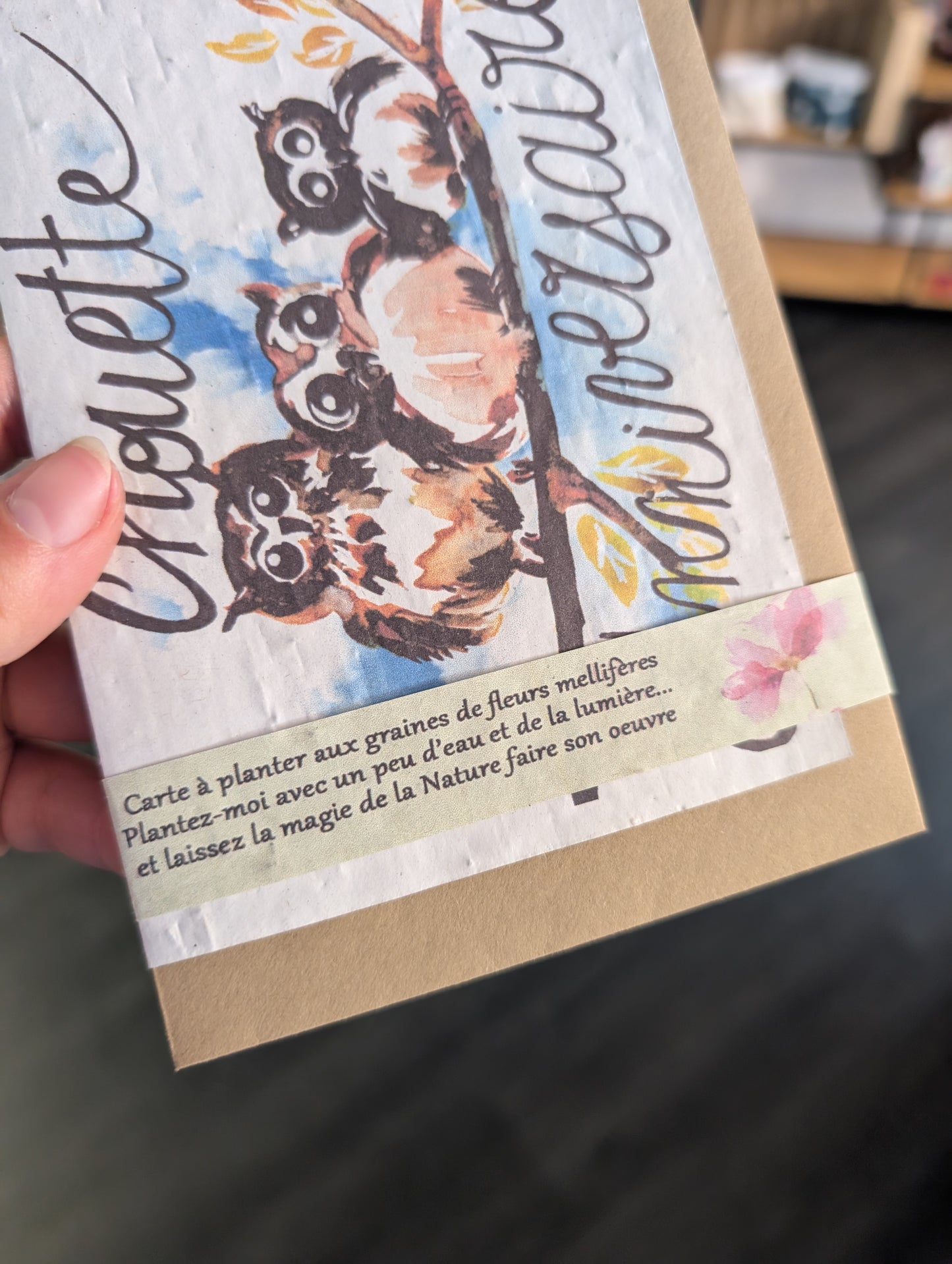 Carte à planter "Chouette Anniversaire"